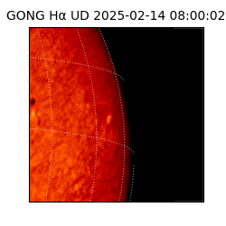 gong - 2025-02-14T08:00:02