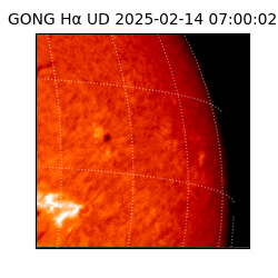 gong - 2025-02-14T07:00:02