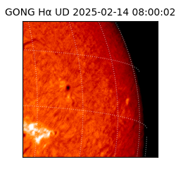 gong - 2025-02-14T08:00:02