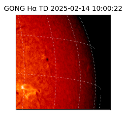 gong - 2025-02-14T10:00:22