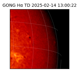 gong - 2025-02-14T13:00:22
