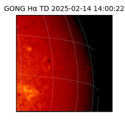 gong - 2025-02-14T14:00:22