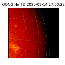 gong - 2025-02-14T17:00:22