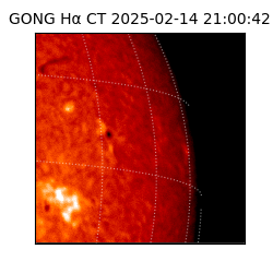 gong - 2025-02-14T21:00:42