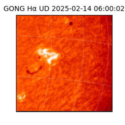 gong - 2025-02-14T06:00:02