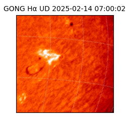 gong - 2025-02-14T07:00:02