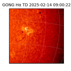 gong - 2025-02-14T09:00:22