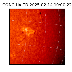 gong - 2025-02-14T10:00:22