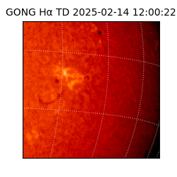 gong - 2025-02-14T12:00:22