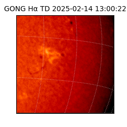 gong - 2025-02-14T13:00:22