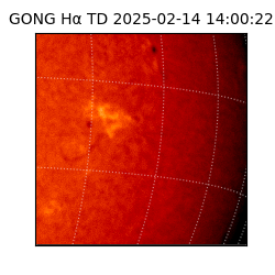 gong - 2025-02-14T14:00:22