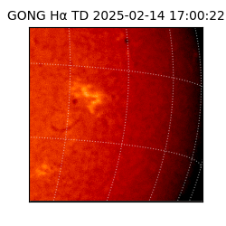 gong - 2025-02-14T17:00:22
