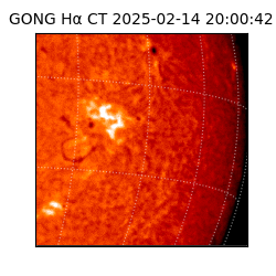 gong - 2025-02-14T20:00:42