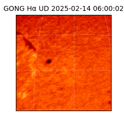 gong - 2025-02-14T06:00:02