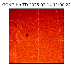 gong - 2025-02-14T11:00:22
