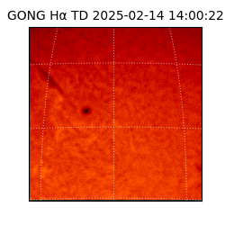 gong - 2025-02-14T14:00:22