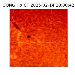 gong - 2025-02-14T20:00:42