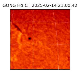 gong - 2025-02-14T21:00:42