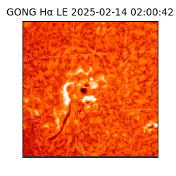 gong - 2025-02-14T02:00:42
