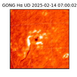 gong - 2025-02-14T07:00:02