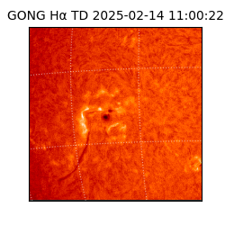 gong - 2025-02-14T11:00:22