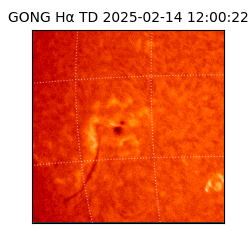 gong - 2025-02-14T12:00:22