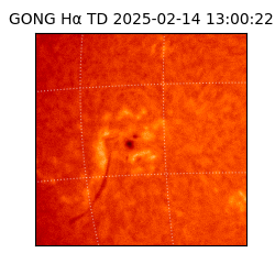 gong - 2025-02-14T13:00:22