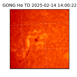gong - 2025-02-14T14:00:22