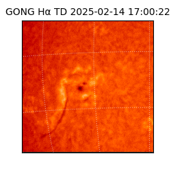 gong - 2025-02-14T17:00:22