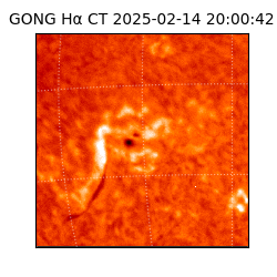 gong - 2025-02-14T20:00:42
