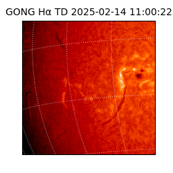 gong - 2025-02-14T11:00:22