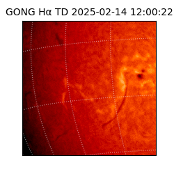 gong - 2025-02-14T12:00:22