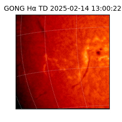 gong - 2025-02-14T13:00:22