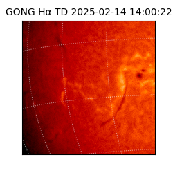 gong - 2025-02-14T14:00:22