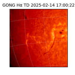 gong - 2025-02-14T17:00:22