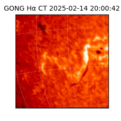 gong - 2025-02-14T20:00:42