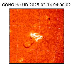 gong - 2025-02-14T04:00:02