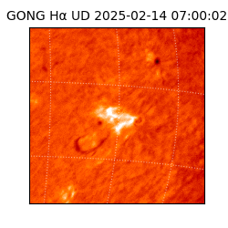gong - 2025-02-14T07:00:02