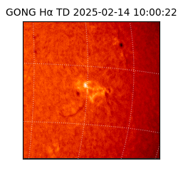 gong - 2025-02-14T10:00:22