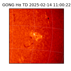 gong - 2025-02-14T11:00:22