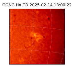 gong - 2025-02-14T13:00:22