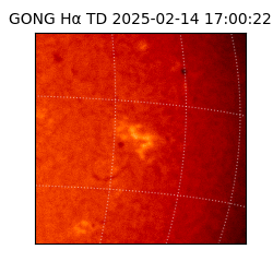 gong - 2025-02-14T17:00:22