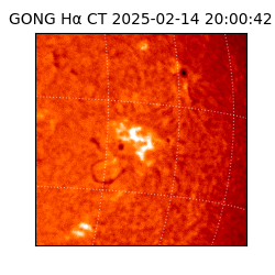 gong - 2025-02-14T20:00:42