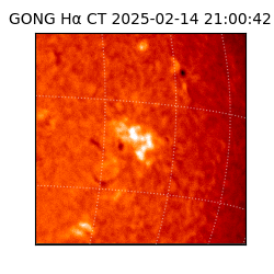 gong - 2025-02-14T21:00:42