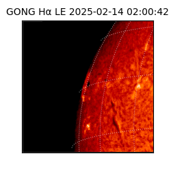 gong - 2025-02-14T02:00:42