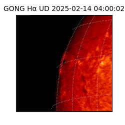 gong - 2025-02-14T04:00:02