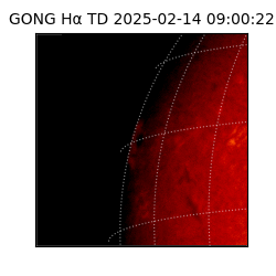 gong - 2025-02-14T09:00:22
