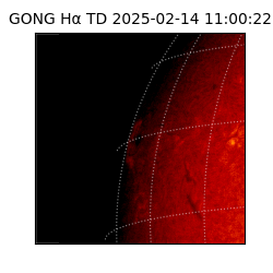 gong - 2025-02-14T11:00:22