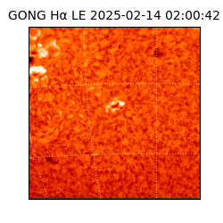 gong - 2025-02-14T02:00:42