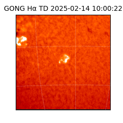 gong - 2025-02-14T10:00:22